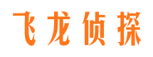 金阳侦探